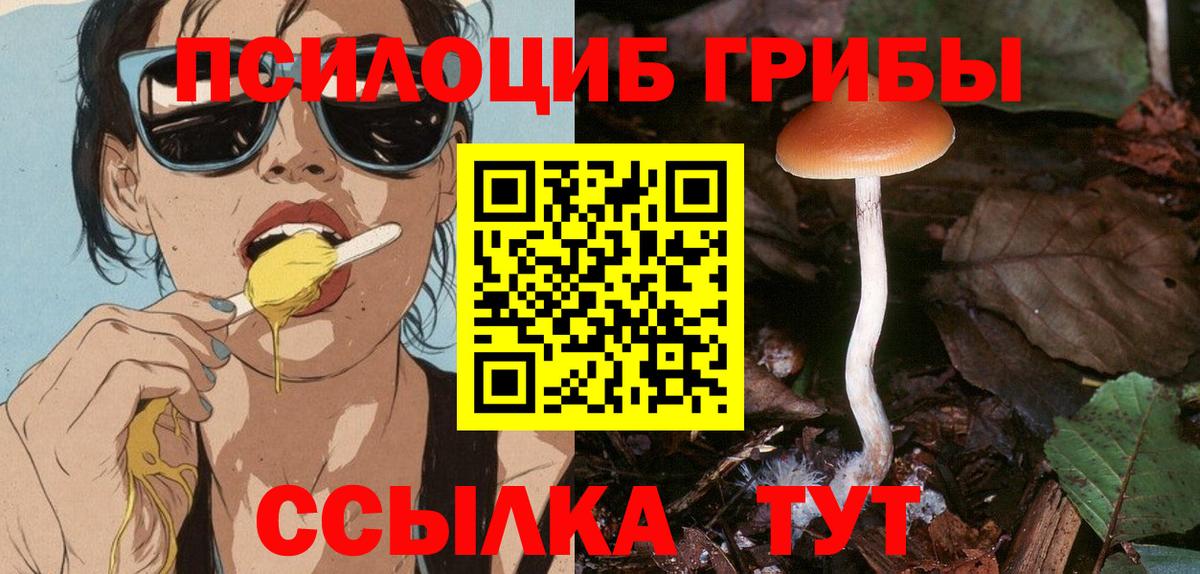 Галлюциногенные грибы мицелий Нерюнгри