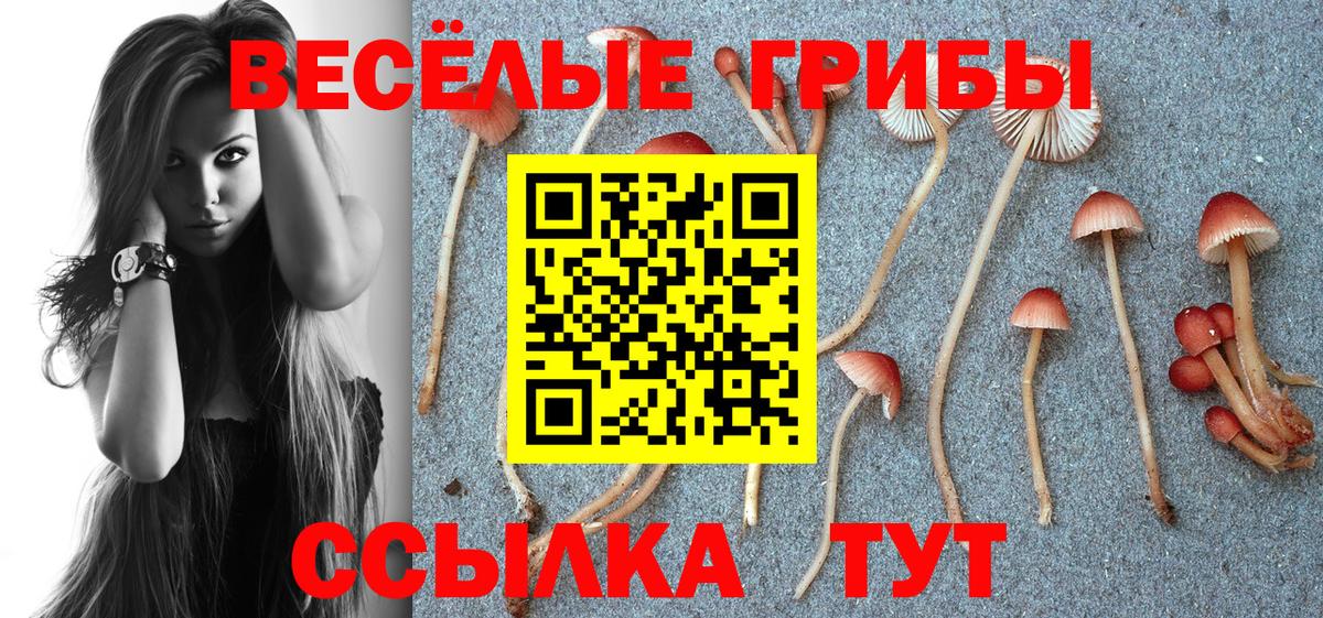 магазин продажи наркотиков  Вход с VPN  Нерюнгри  Галлюциногенные грибы Cubensis 
